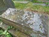 image of grave number 947819